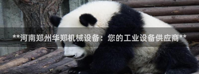 金年会官方在线入口网站2023：**河南郑州华郑机械设备：您的工业设备供应商**