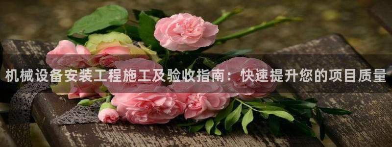 金年会在线入口2023：机械设备安装工程施工及验收指南：快速提升您的项目质量