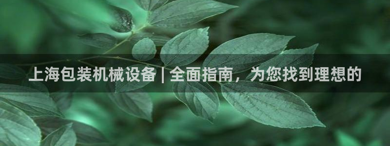 金年会jinnianhuicom：上海包装机械设备 | 全面指南，为您找到理想的
