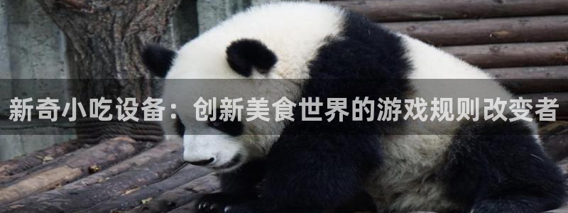 金年会官方app下载：新奇小吃设备：创新美食世界的游戏规则改变者