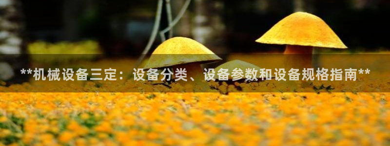 金年会官方入口首页网站：**机械设备三定：设备分类、设备参数和设备规格指南**
