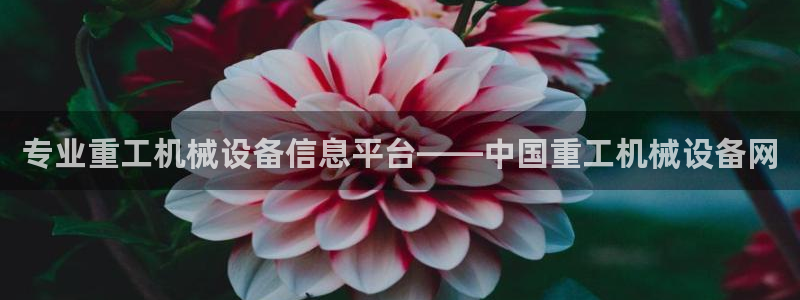 金年会官方网站入口登录网：专业重工机械设备信息平台——中国重工机械设备网