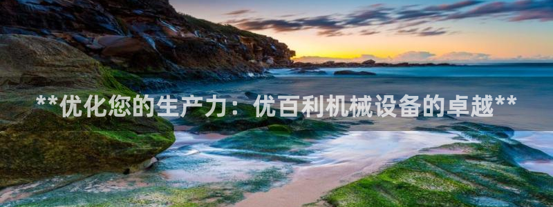 金年会网站平台怎么样：**优化您的生产力：优百利机械设备的卓越**