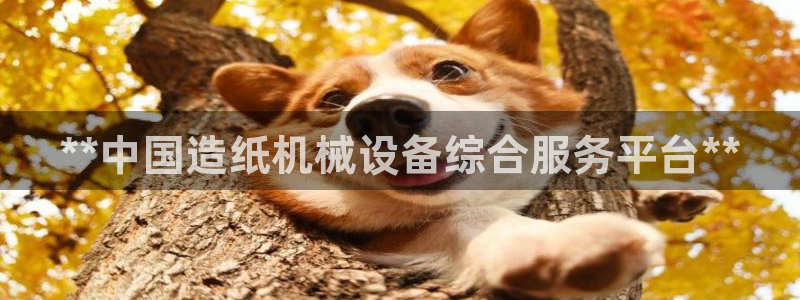 金年会APP官网下载：**中国造纸机械设备综合服务平台**