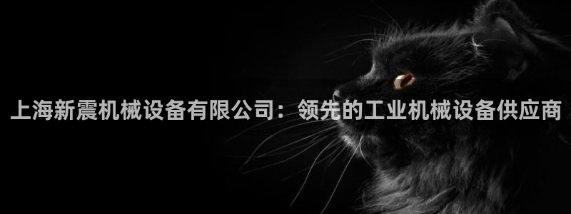 金年会体育网址登录：上海新震机械设备有限公司：领先的工业机械设备供应商