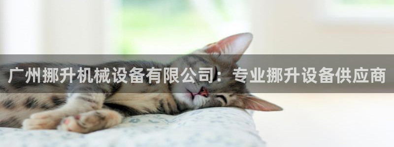 金年会官方入口首页：广州挪升机械设备有限公司：专业挪升设备供应商
