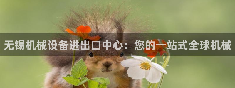 金年会官方登录入口手机版app：无锡机械设备进出口中心：您的一站式全球机械