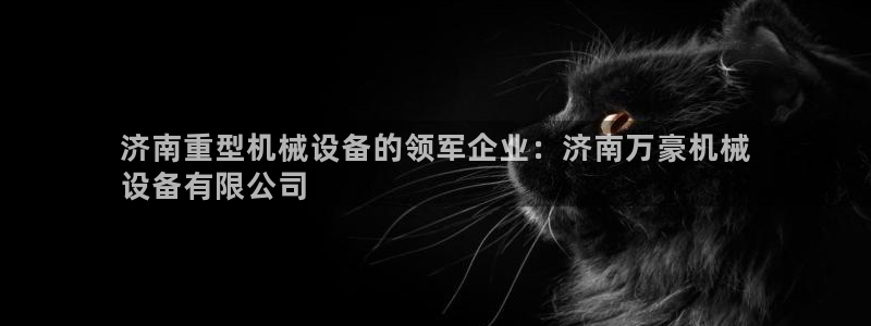 金年会体育平台官网app：济南重型机械设备的领军企业：济南万豪机械
设备有限公司