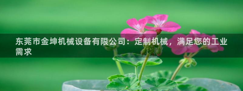 金年会官方网址是什么：东莞市金坤机械设备有限公司：定制机械，满足您的工业
需求