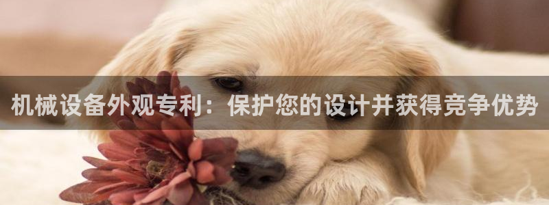 金年会体育官网入口：机械设备外观专利：保护您的设计并获得竞争优势