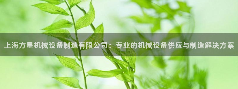 金年会金字照片诚信至上：上海方星机械设备制造有限公司：专业的机械设备供应与制造解决方案