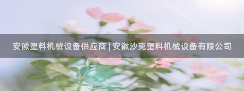 金年会金字招牌在线入口195：安徽塑料机械设备供应商 | 安徽沙克塑料机械设备有限公司