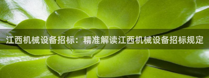 金年会App是不是钓鱼软件