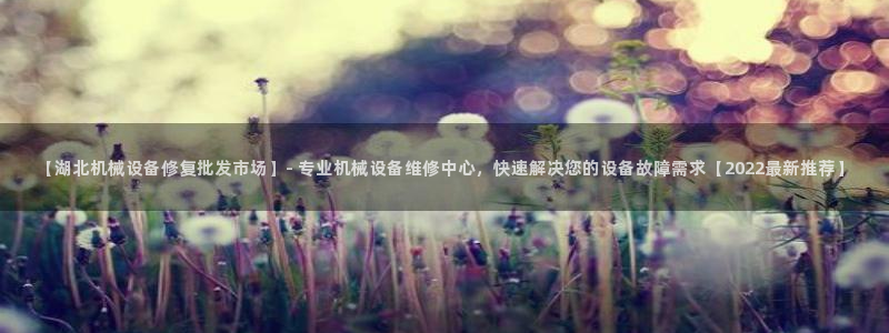 金年会荣誉至上：【湖北机械设备修复批发市场】- 专业机械设备维修中心，快速解决您的设备故障需求【2022最新推