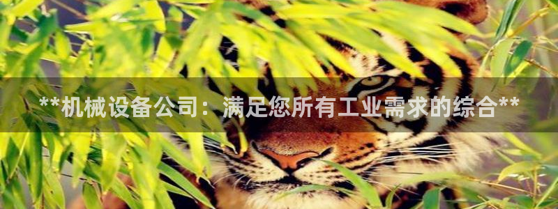 金年会体育平台注册：**机械设备公司：满足您所有工业需求的综合**