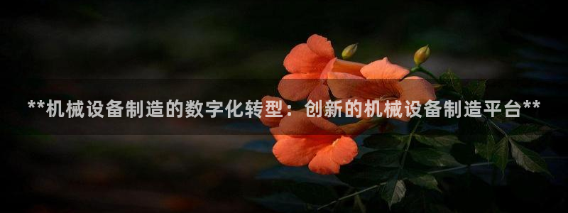 金年会平台官网登录：**机械设备制造的数字化转型：创新的机械设备制造平台**