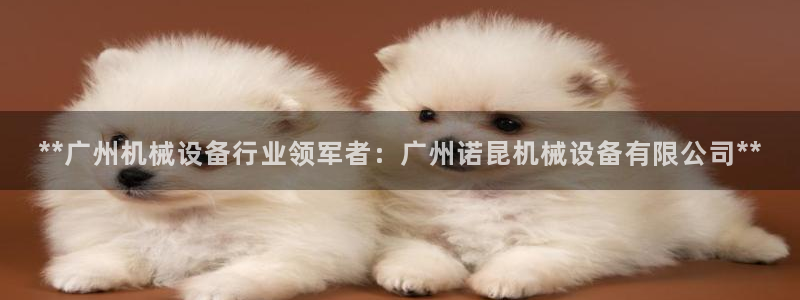 金年会官方在线入口网站：**广州机械设备行业领军者：广州诺昆机械设备有限公司**