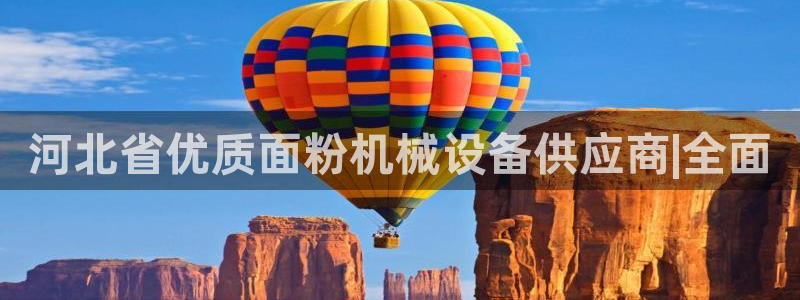 金年会体育全站网站登录：河北省优质面粉机械设备供应商|全面