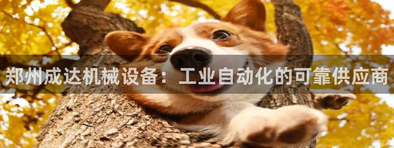 金年会体育在线登录：郑州成达机械设备：工业自动化的可靠供应商