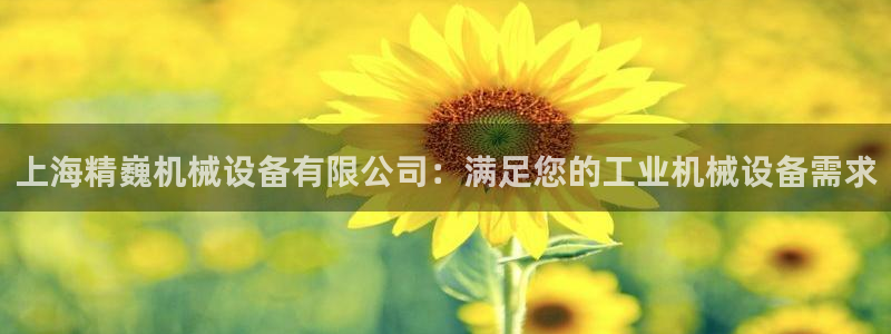 金年会电子游戏app官方：上海精巍机械设备有限公司：满足您的工业机械设备需求