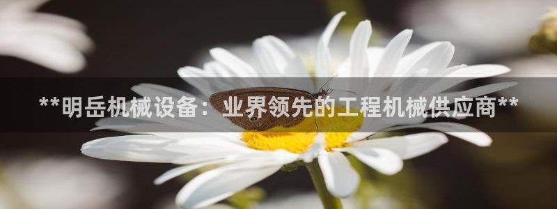 金年会体育那一年注册：**明岳机械设备：业界领先的工程机械供应商**