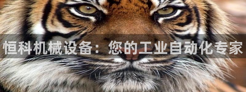 金年会提现不了：恒科机械设备：您的工业自动化专家