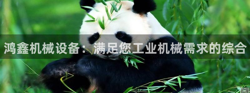 金年会jinnianhui：鸿鑫机械设备：满足您工业机械需求的综合