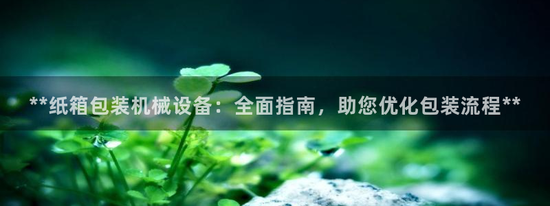金年会黑不黑：**纸箱包装机械设备：全面指南，助您优化包装流程**