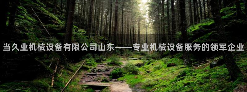 jinnianhui金年会：当久业机械设备有限公司山东——专业机械设备服务的领军企业
