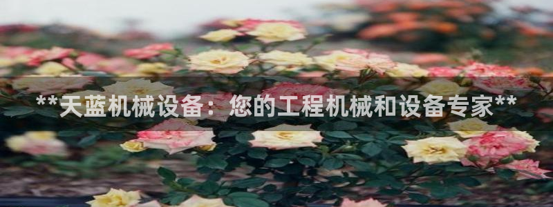 金年会体育网站：**天蓝机械设备：您的工程机械和设备专家**