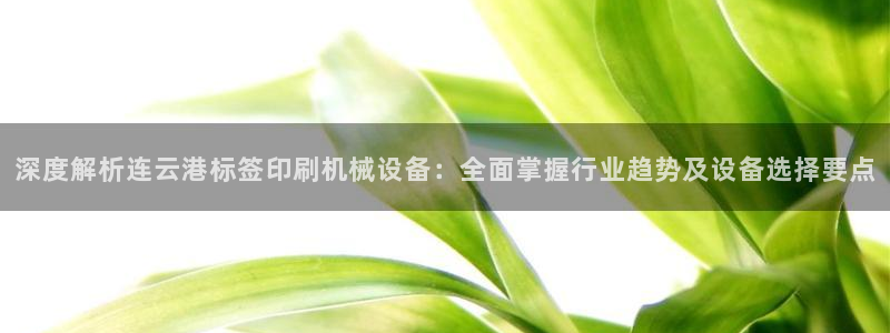 金年会网页版在线登录官网下载：深度解析连云港标签印刷机械设备：全面掌握行业趋势及设备选择要点