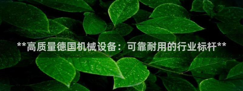金年会在线入口2023：**高质量德国机械设备：可靠耐用的行业标杆**