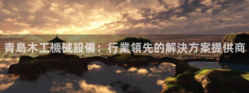 金年会下载软件：青島木工機械設備：行業領先的解決方案提供商