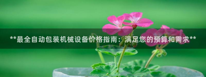 金年会网登录平台入口：**最全自动包装机械设备价格指南：满足您的预算和需求**