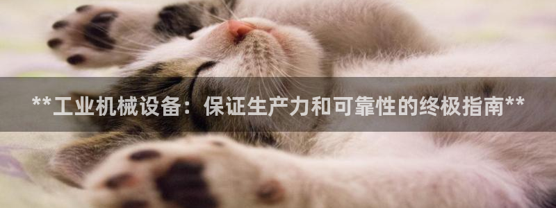 金年会官方在线登录：**工业机械设备：保证生产力和可靠性的终极指南**