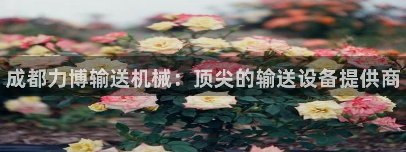 金年会vip打开网络异常怎么办：成都力博输送机械：顶尖的输送设备提供商