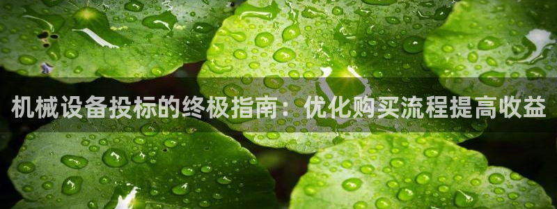 金年会-金字招牌信誉至上：机械设备投标的终极指南：优化购买流程提高收益
