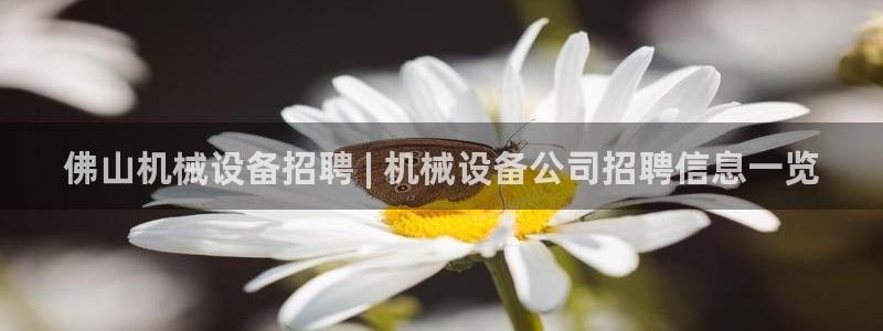 金年会官方在线登录网址是什么：佛山机械设备招聘 | 机械设备公司招聘信息一览