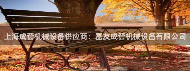 金年会官方体育：上海成套机械设备供应商：磊友成套机械设备有限公司