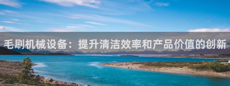 金年会官方体育：毛刷机械设备：提升清洁效率和产品价值的创新