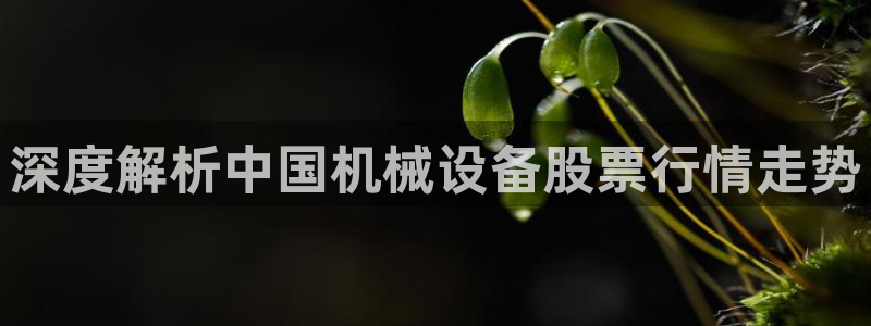 金年会手机网页版登录入口：深度解析中国机械设备股票行情走势