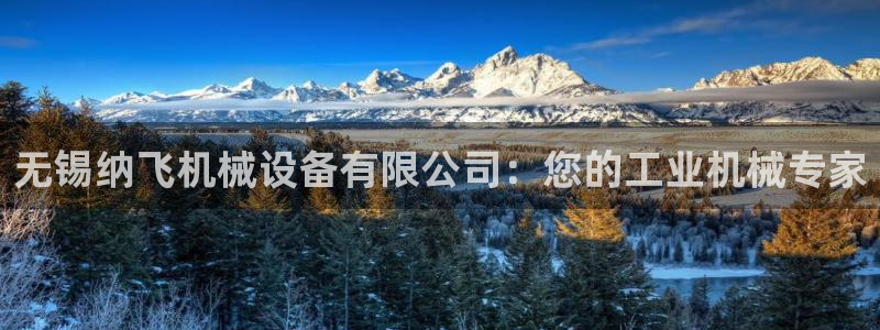 金年会官方入口2023：无锡纳飞机械设备有限公司：您的工业机械专家