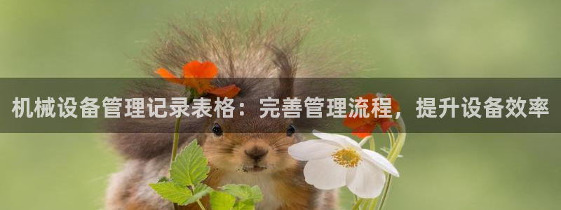 金年会体育有限公司：机械设备管理记录表格：完善管理流程，提升设备效率