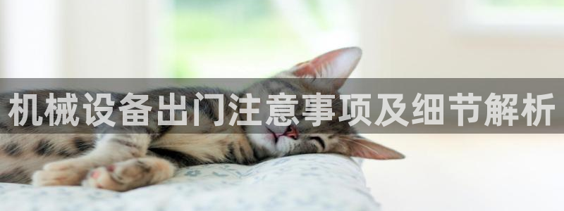 金年会体育下载APP